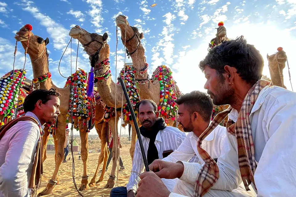 Colorful camels and folk performances at Bikaner Camel Festival, Rajasthan