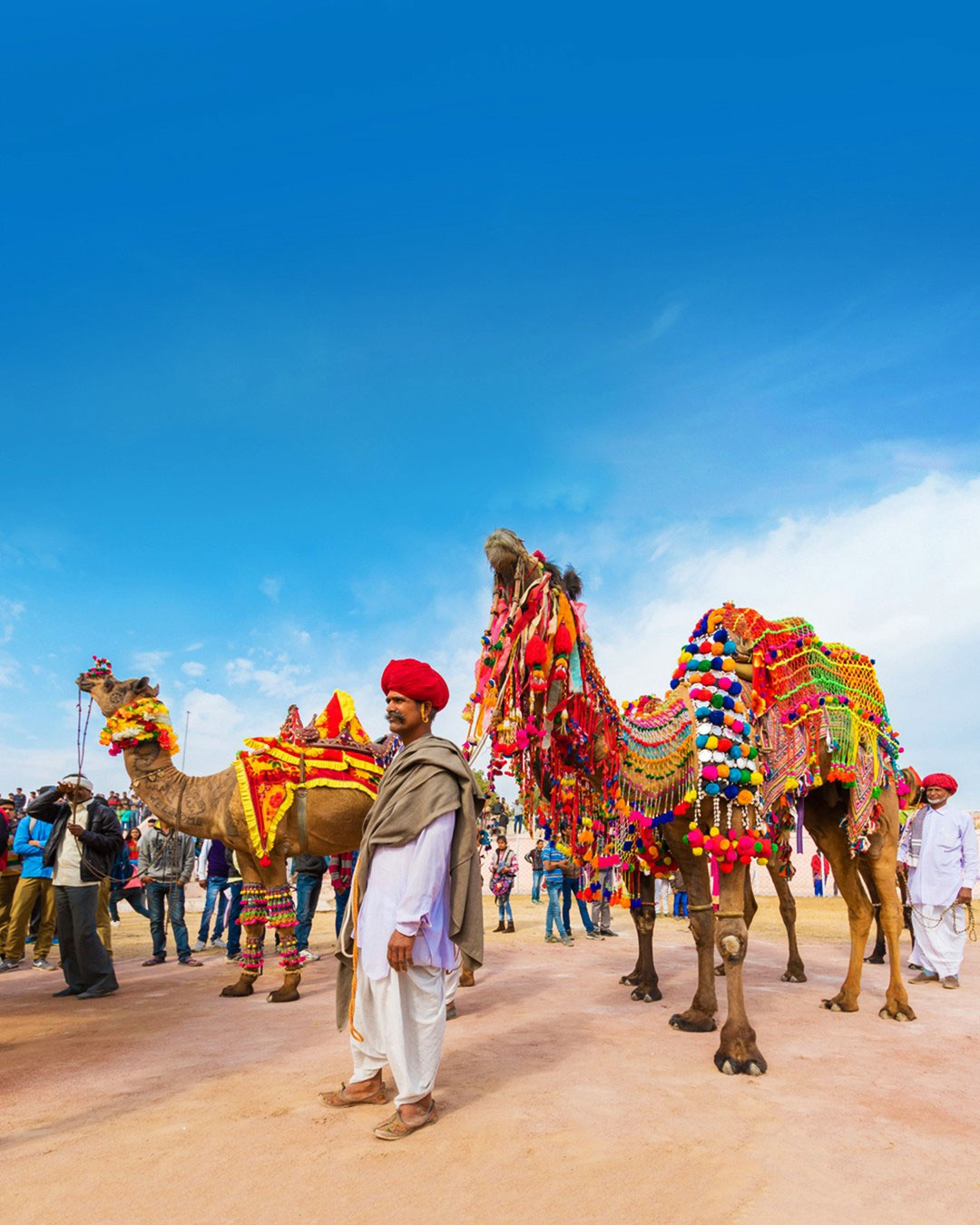 Bikaner Camel Festival- Traditional Rajasthani Festival