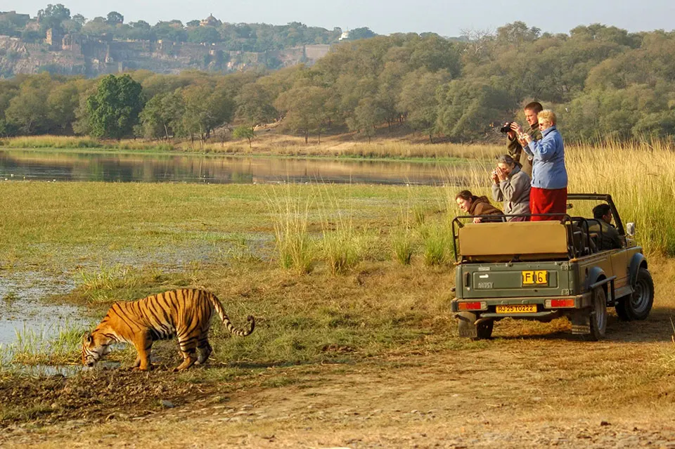 Explore Rajasthan’s wildlife and national parks featuring tigers, desert animals, rich flora, and famous safari destinations like Ranthambore and Sariska