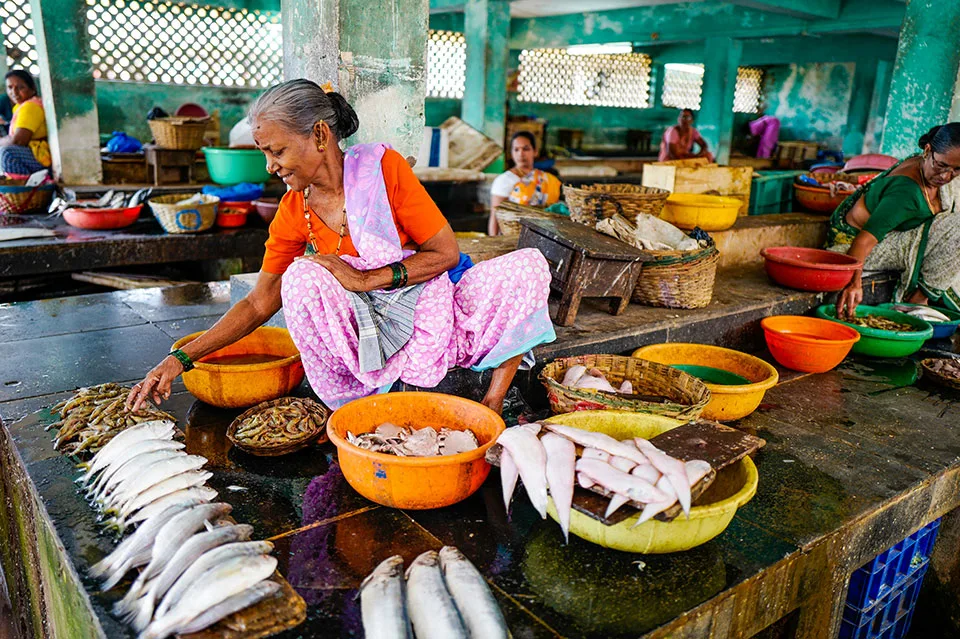 An elderly woman with a gray bun, wearing an orange top and a pink and white sari, squats behind a stall, arranging various types of fish, including a row of silvery fish, on a black counter at a brightly lit, busy indoor market.