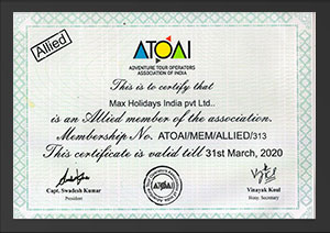 Award 4