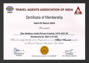 Award 5